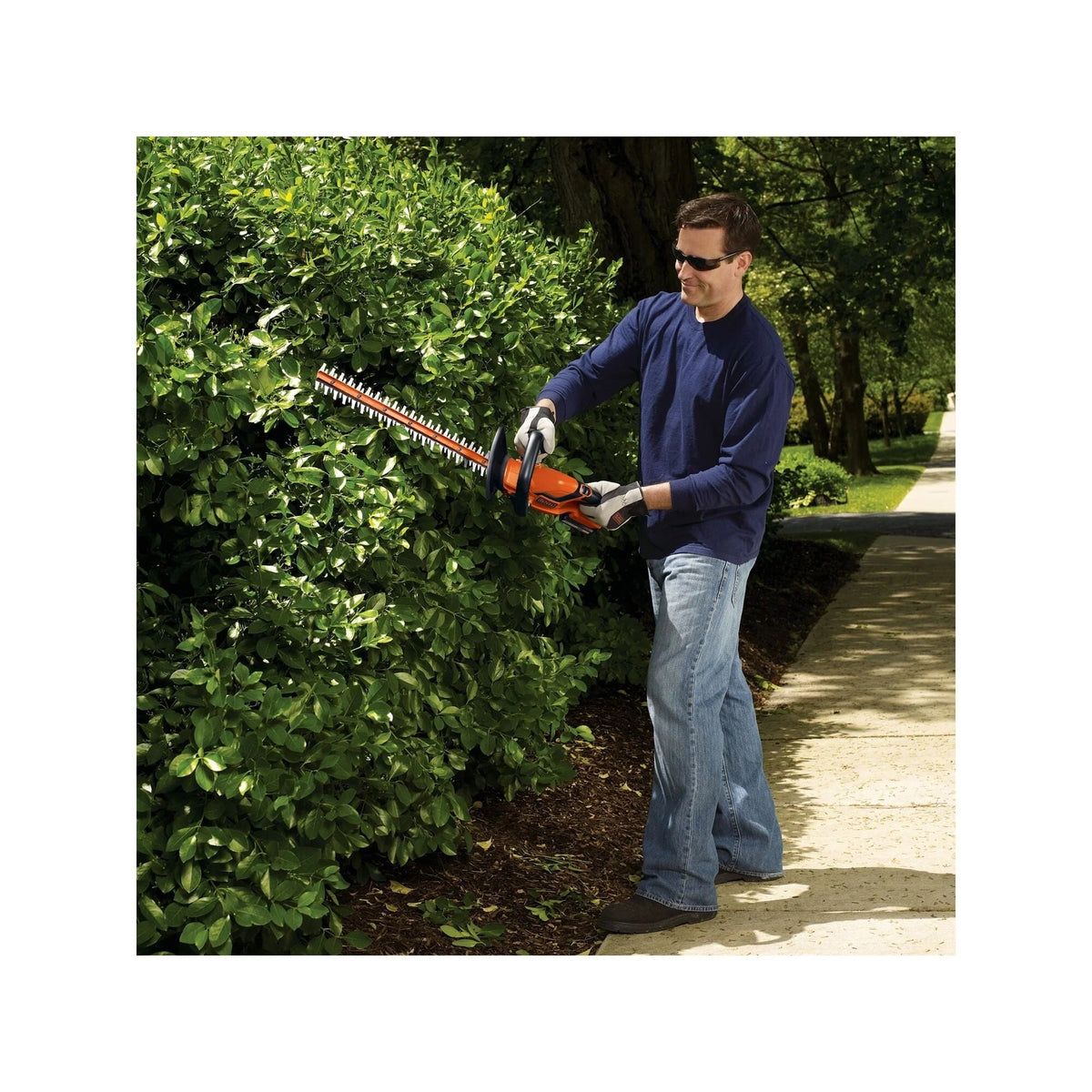 BLACK+DECKER 20V MAX Cordless Lithium 22 in Hedge Trimmer - LHT2220