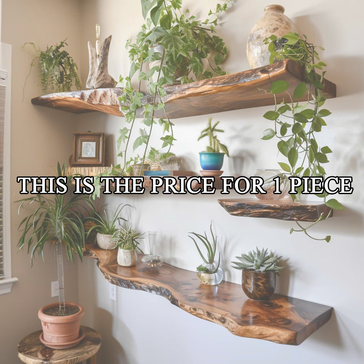 Live Edge Floating Shelf Wall Mount SINLFL027