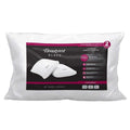 Beautyrest Black Pillows